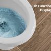Rear Flush Function Display 970-600